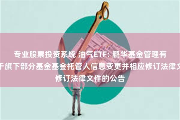 专业股票投资系统 油气ETF: 鹏华基金管理有限公司关于旗下部分基金基金托管人信息变更并相应修订法律文件的公告