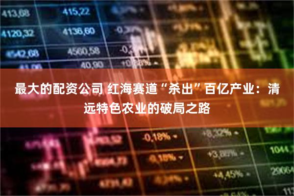 最大的配资公司 红海赛道“杀出”百亿产业：清远特色农业的破局之路