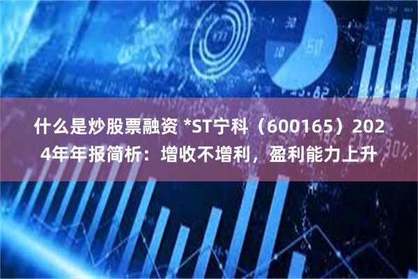 什么是炒股票融资 *ST宁科（600165）2024年年报简析：增收不增利，盈利能力上升