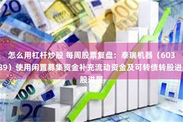 怎么用杠杆炒股 每周股票复盘：泰瑞机器（603289）使用闲置募集资金补充流动资金及可转债转股进展