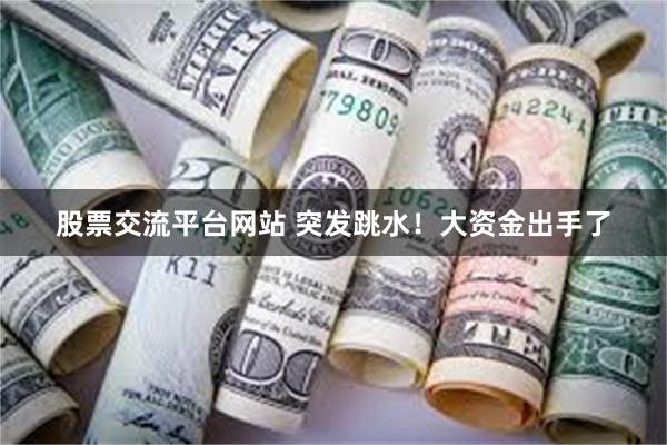股票交流平台网站 突发跳水！大资金出手了