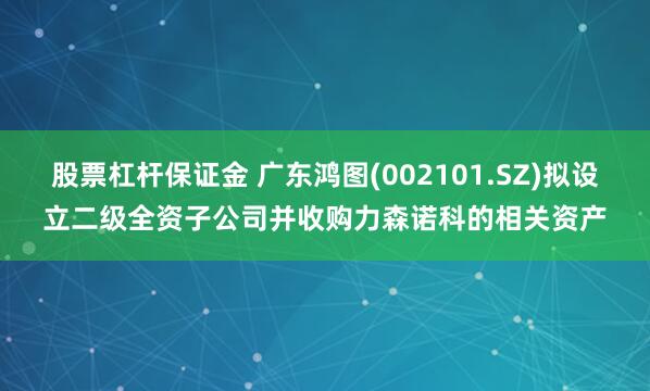 股票杠杆保证金 广东鸿图(002101.SZ)拟设立二级全资子公司并收购力森诺科的相关资产