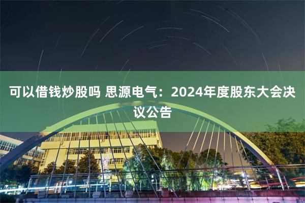 可以借钱炒股吗 思源电气：2024年度股东大会决议公告
