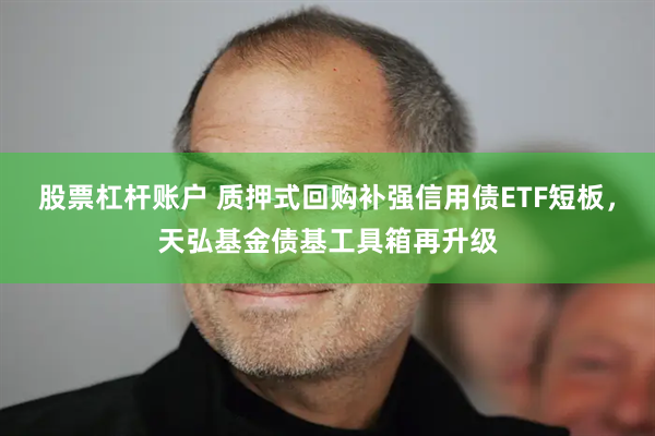 股票杠杆账户 质押式回购补强信用债ETF短板，天弘基金债基工具箱再升级